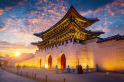 Nagoya - Kyoto - Shirakawago - Matsumoto - Núi Phú Sĩ - Tokyo  (Thưởng Thức Thịt Bò Hida) (Sao chép)